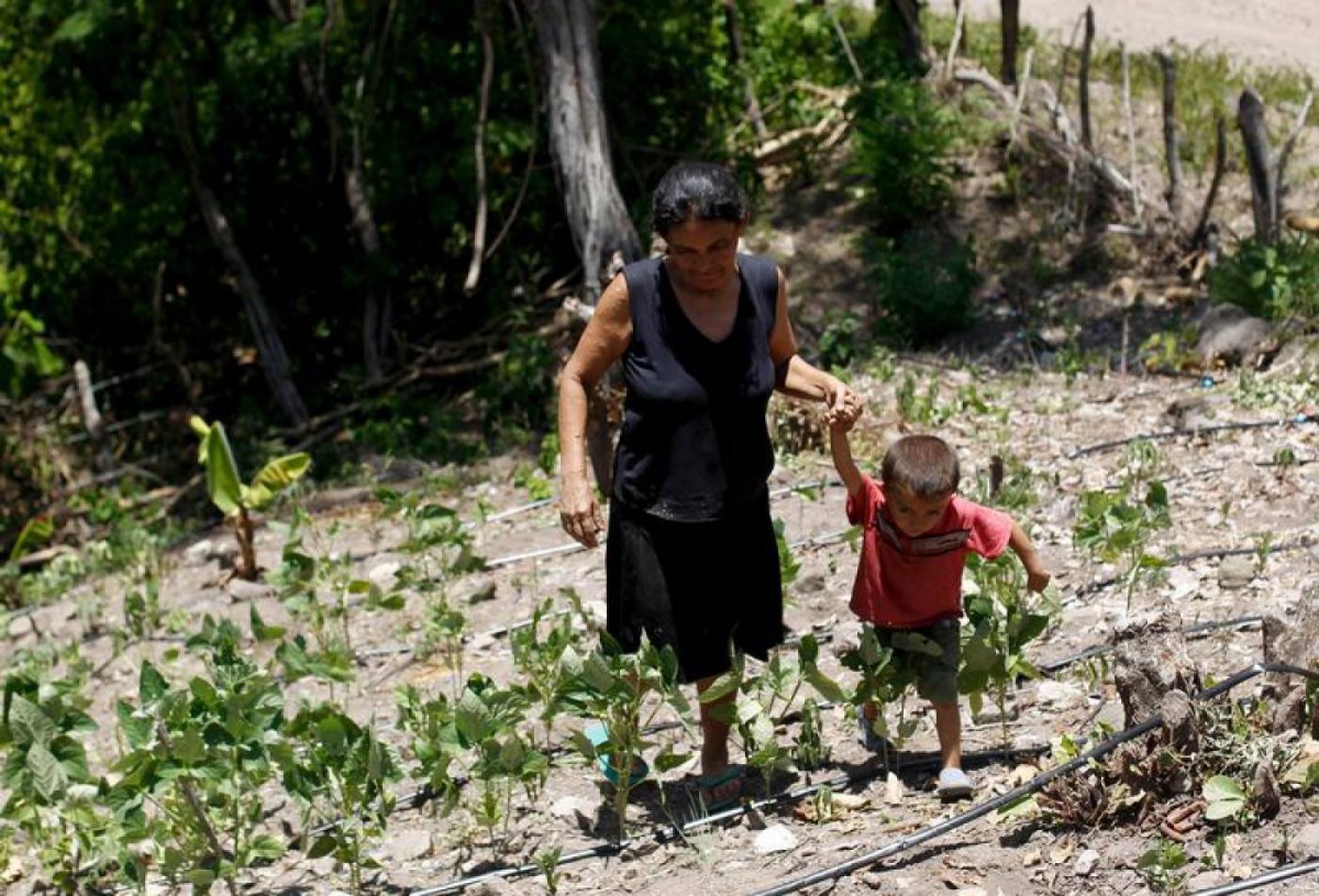 A woman and her son walk in their drought-affected plot, in the southern village of San Francisco de Coray, in the department of Valle, Honduras, August 13, 2015. Reuters / Jorge Cabrera