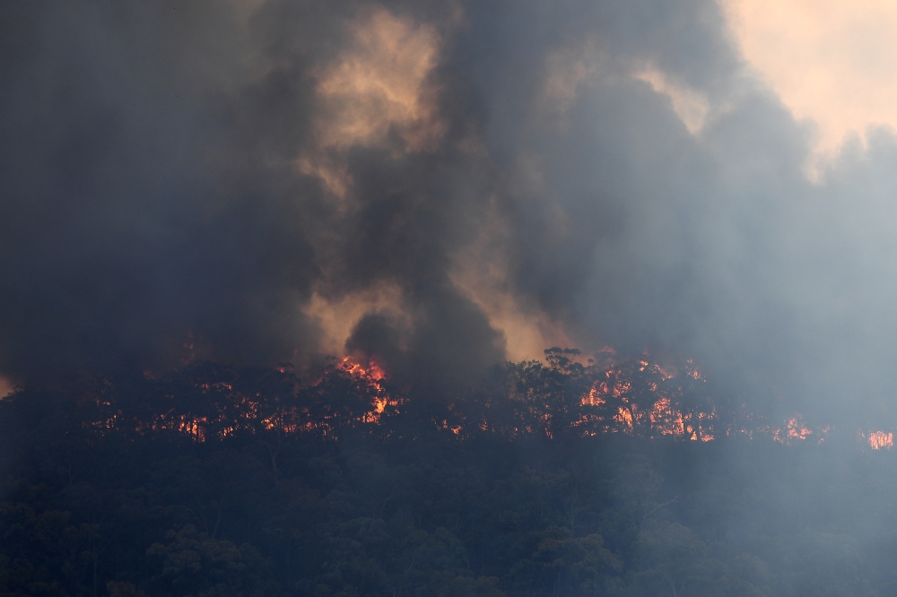 The Gospers Mountain fire is seen burning in bushland near Colo Heights, north west of Sydney, Australia, November 13, 2019. AAP Image/Dan Himbrechts/via REUTERS