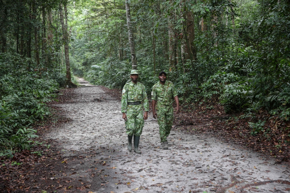 Two forest rangers walk on a road in the Akanda forest, a national park a few kilometers from the city centre of the capital, Libreville on September 27, 2019. AFP / Steve Jordan