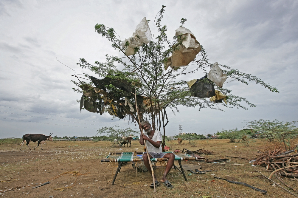A shepherd takes rest under a tree on a dried-up lake on the outskirts of Chennai, India, June 27, 2019. Reuters / P Ravikumar