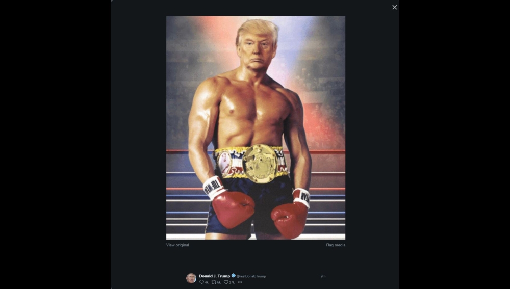This image shows a screen grab of the Twitter account of US President Donald Trump (@realDonaldTrump), his face surimposed on a picture of Silvester Stallone Rocky III boxing movie, on November 27, 2019 shortly after he posted it.  AFP/ @RealDonaldTrump