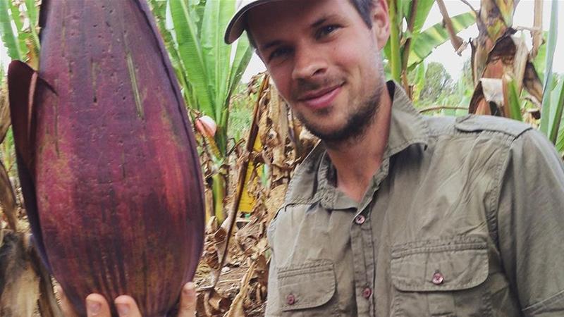 James Borrell, a scientist at London's Royal Botanic Gardens, Kew, holds a fruit from an enset plant - described as 
