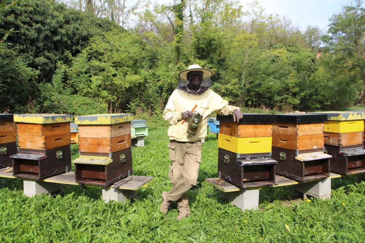 Abdul Sane, from Senegal, poses for a portrait at an apiary in Alessandria, a town n Piedmont region in northwestern Italy, Oct 4, 2019. Thomson Reuters Foundation/Thin Lei Win
