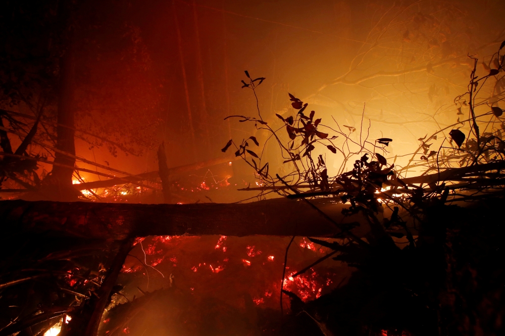 FILE PHOTO: Burnt trees are pictured during a forest fire in Kapuas regency near Palangka Raya, Central Kalimantan province, Indonesia, October 3, 2019. REUTERS/Willy Kurniawan/File Photo