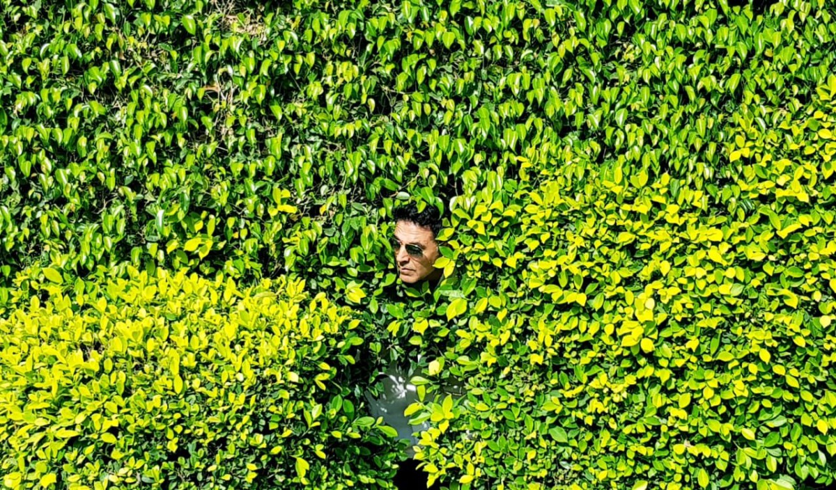 Image taken from Twitter.