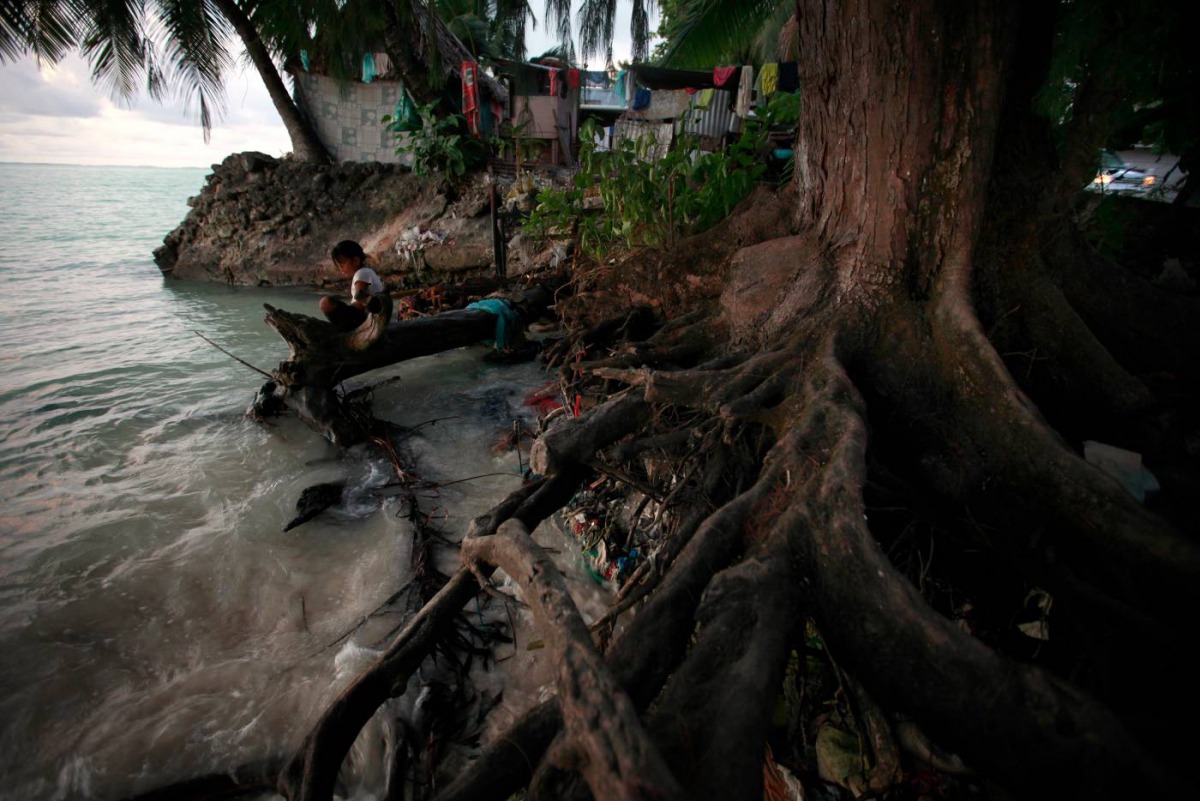 A girl sits on a log next to the roots of a tree, which have been exposed as a result of high-tides, near the village of Teaoraereke on South Tarawa in the central Pacific island nation of Kiribati May 25, 2013. Reuters/David Gray
