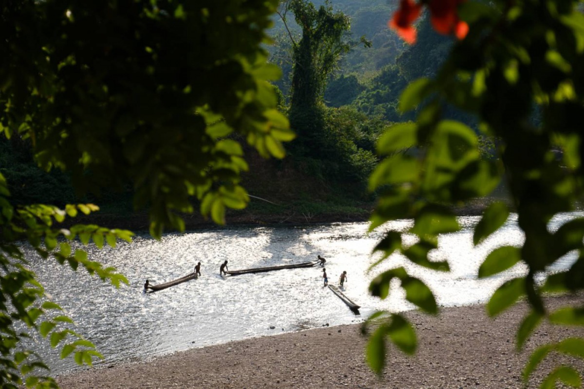 A view of the Moskitia forest area in Central America. Handout: Braden Gunem 