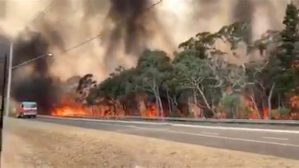 Flames engulf a row of trees. New South Wales, Australia. December 21, 2019. in this still image taken from social media video/Reuters
