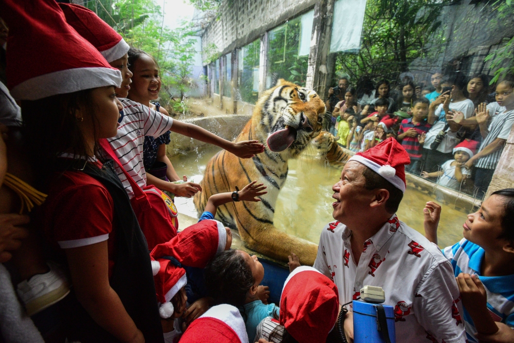 Children react as a Bengal tiger licks the glass surrounding its enclosure during the 
