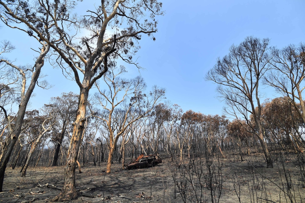A burnt car is seen among the charred trees in Lithgow, in Australia's New South Wales, on January 11, 2020. AFP / SAEED KHAN