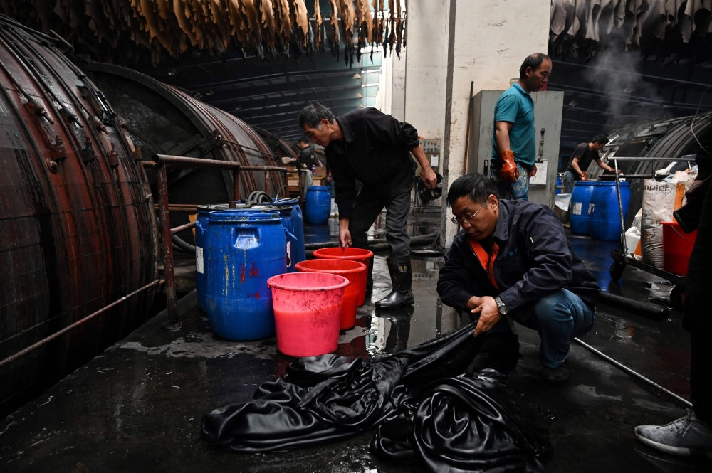 This photo taken on November 8, 2019 shows a worker handling a cow hide at the Boyin leather tannery in Shenqiu, in China's central Henan province.  AFP / Greg Baker