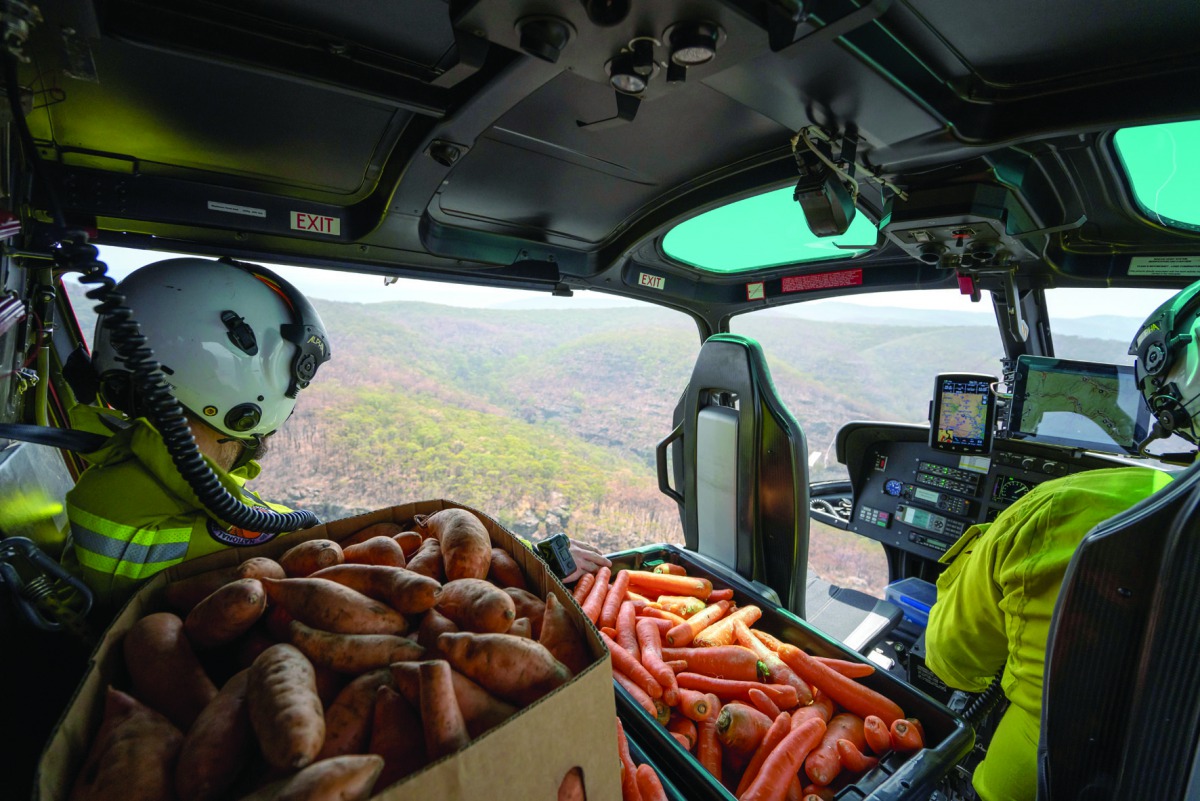 NSW's National Parks and Wildlife Service staff fly with carrots and sweet potatoes before air-dropping them for animals in bushfire-stricken areas around Wollemi National Park, New South Wales, Australia January 10, 2020. NSW DPIE Environment, Energy and