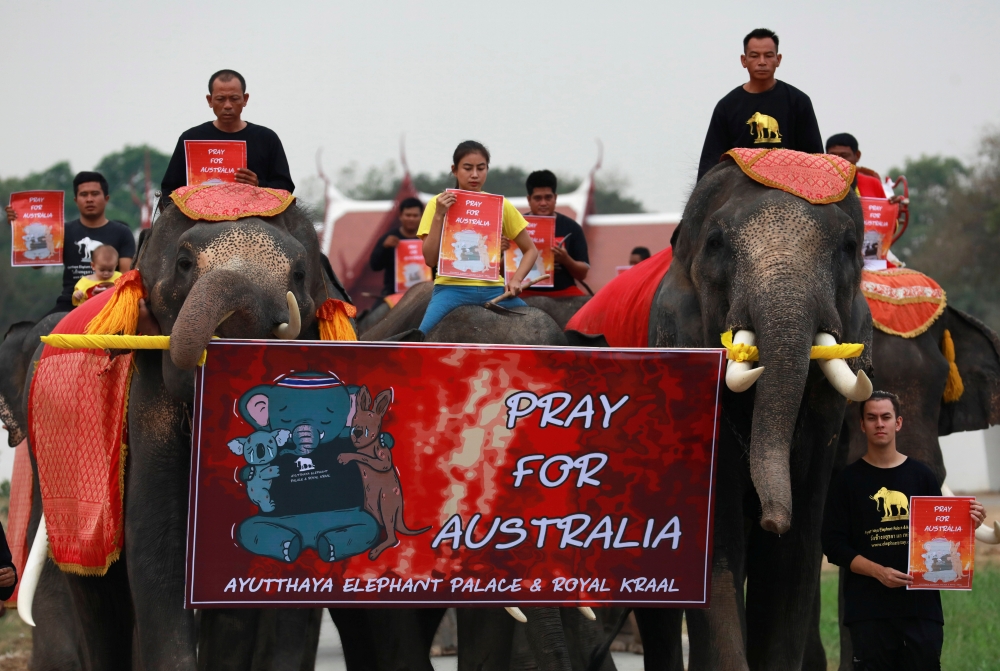 Students and a troupe of ten elephants pray for Australia bushfires, in Ayutthaya, Thailand January 13, 2020. REUTERS/Soe Zeya Tun