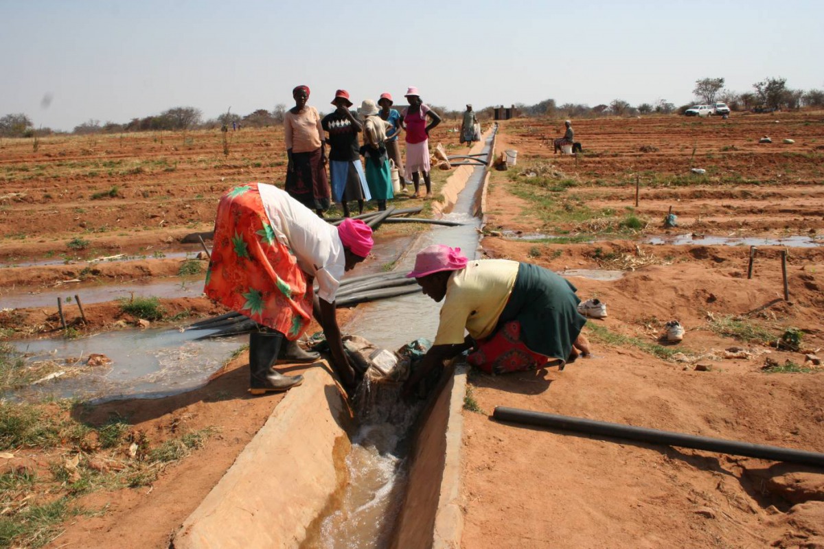 Women farmers tend their fields at the Tjankwa Irrigation Scheme in Plumtree District, 100km west of Bulawayo, Zimbabwe, September 18, 2014. Thomson Reuters Foundation/Busani Bafana