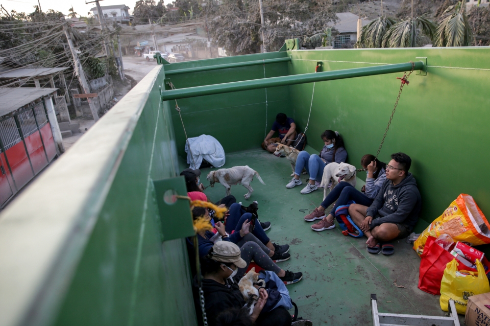 A team of volunteers takes care of dogs and other animals rescued from the homes of residents who have evacuated due to the erupting Taal Volcano in Batangas, Philippines, January 15, 2020. REUTERS/Eloisa Lopez