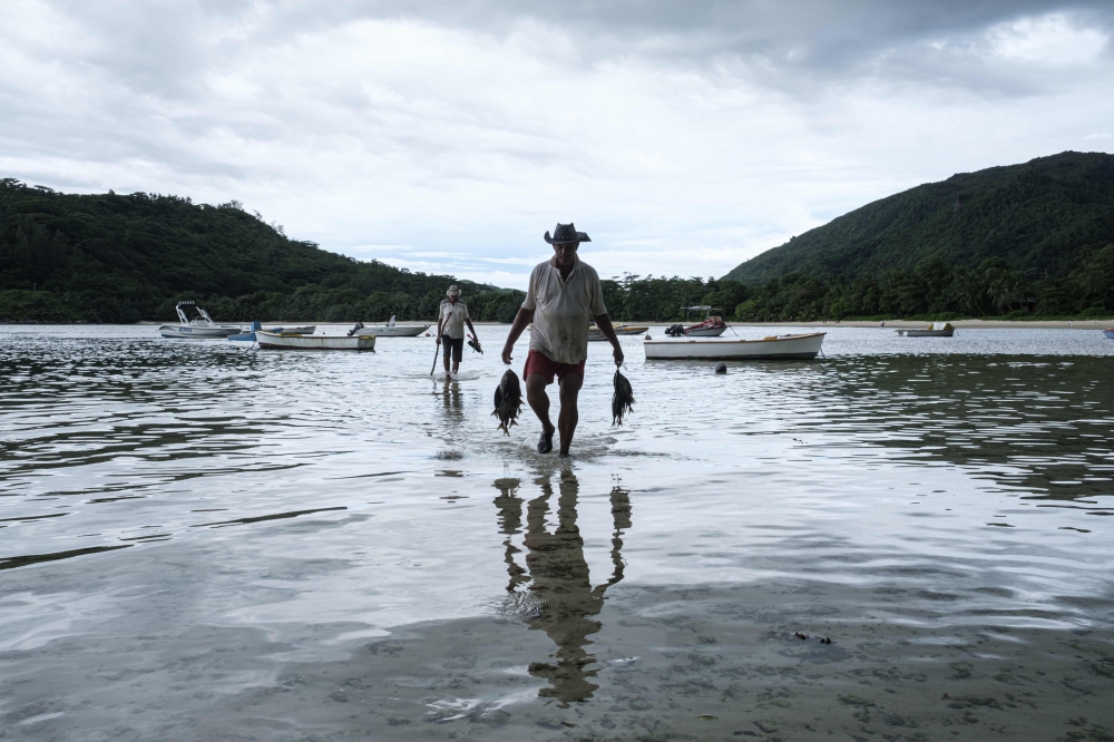 Fishermen carry fish in Mahe island, the largest island contains the capital city of Victoria, Seychelles on November 18, 2019. AFP / Yasuyoshi Chiba  
