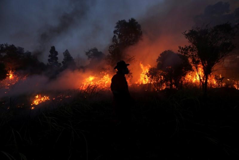 File picture of Indonesian fire. Reuters