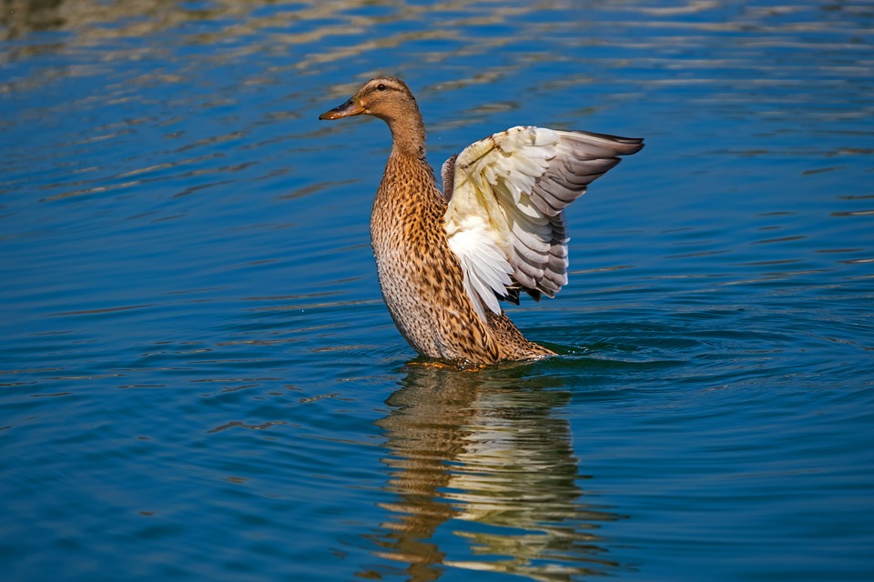 Picture used for representation only 