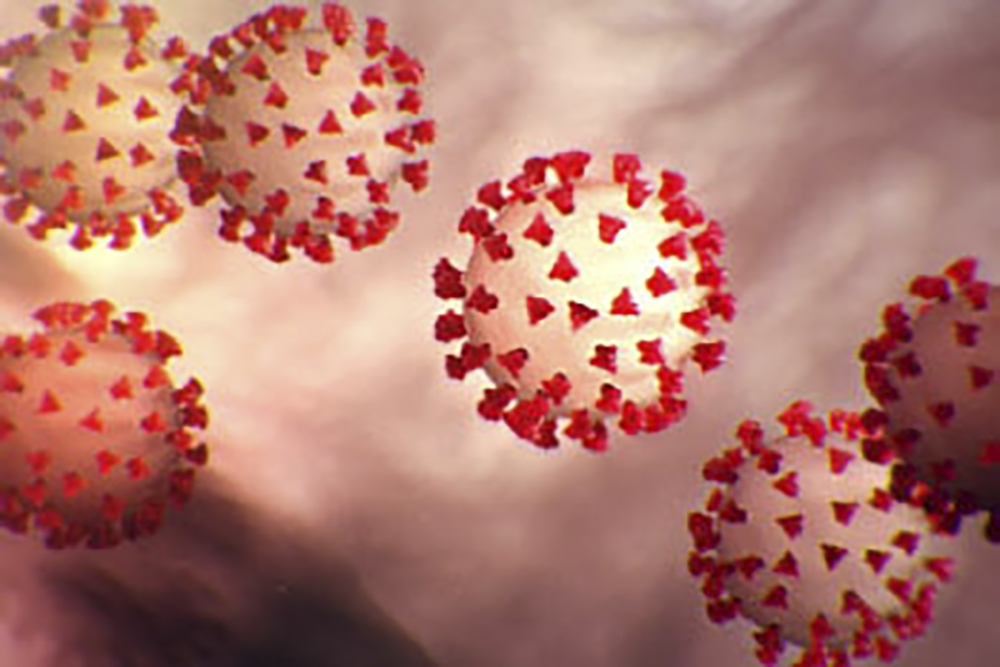 This handout illustration image obtained February 27, 2020 courtesy of the Centers for Disease Control and Prevention and created at the Centers for Disease Control and Prevention (CDC) shows the coronavirus, COVID-19. AFP PHOTO /CENTERS FOR DISEASE CONTR
