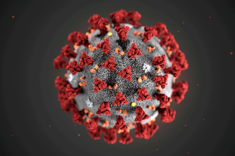 FILE PHOTO: The ultra-structural morphology exhibited by the 2019 Novel Coronavirus (2019-nCoV), which was identified as the cause of an outbreak of respiratory illness first detected in Wuhan, China, is seen in an illustration released by the Centers for