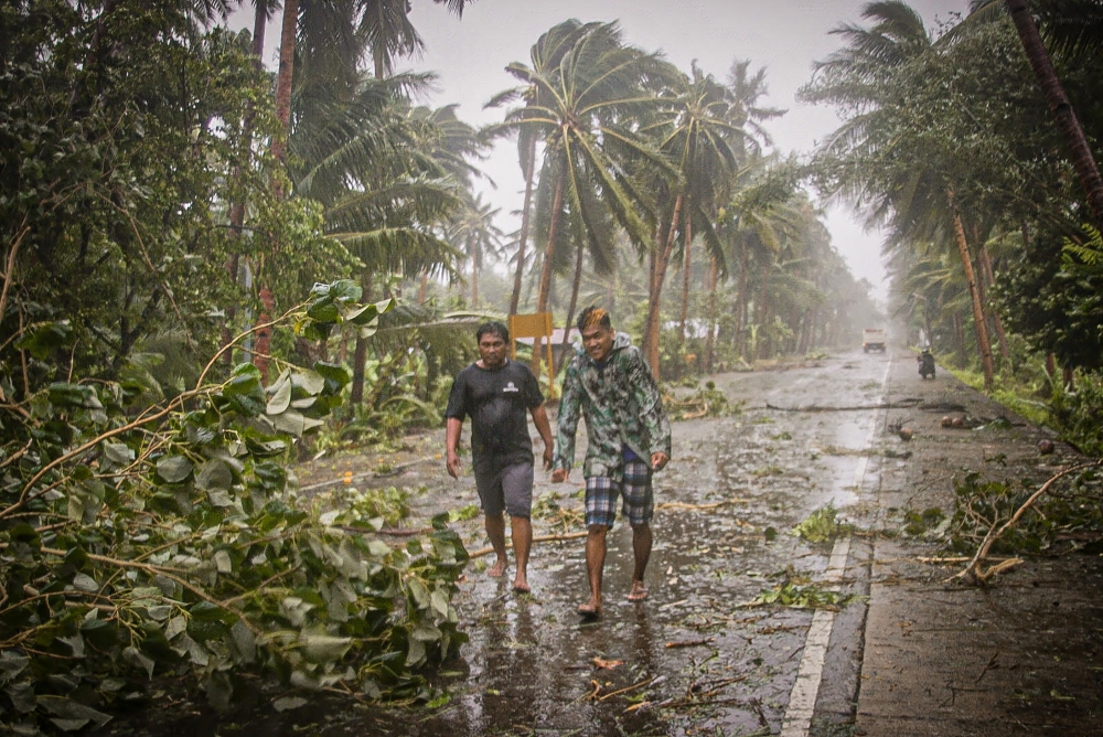 Residents brave rains and strong wind as they walk past uprooted trees along a highway in Can-avid town, Eastern Samar province, central Philippines on May 14, 2020, as Typhoon Vongfong makes landfall. / AFP / Alren BERONIO
