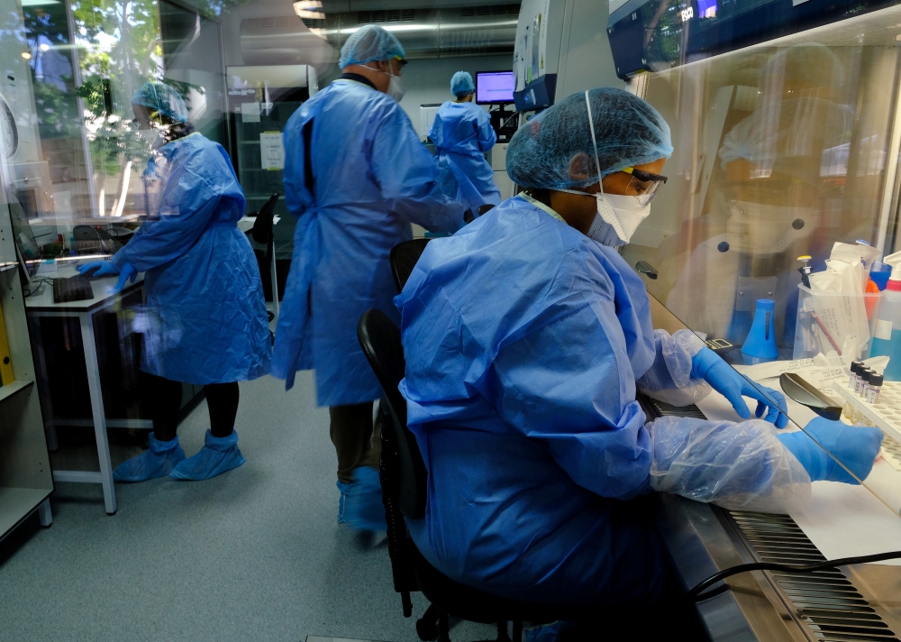 :Researchers studying the BCG vaccine for tuberculosis test samples in a laboratory run by South African biotech company TASK in Cape Town, South Africa, May 11, 2020. Picture taken May 11, 2020. REUTERS/Mike Hutchings
