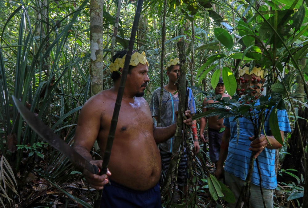 Satere-Mawe indigenous men collect medicinal herbs such as carapanauba, caferana and saratudo, all native plants of the Amazon rainforest, to treat people showing symptoms of the novel coronavirus COVID-19 in their community Wakiru, AFP / Ricardo Oliveira
