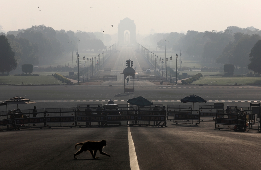 File photo: A monkey crosses the road near India's Presidential Palace during a 14-hour long curfew to limit the spreading of coronavirus disease (COVID-19) in New Delhi, India, March 22, 2020. REUTERS/Anushree Fadnavis/File Photo