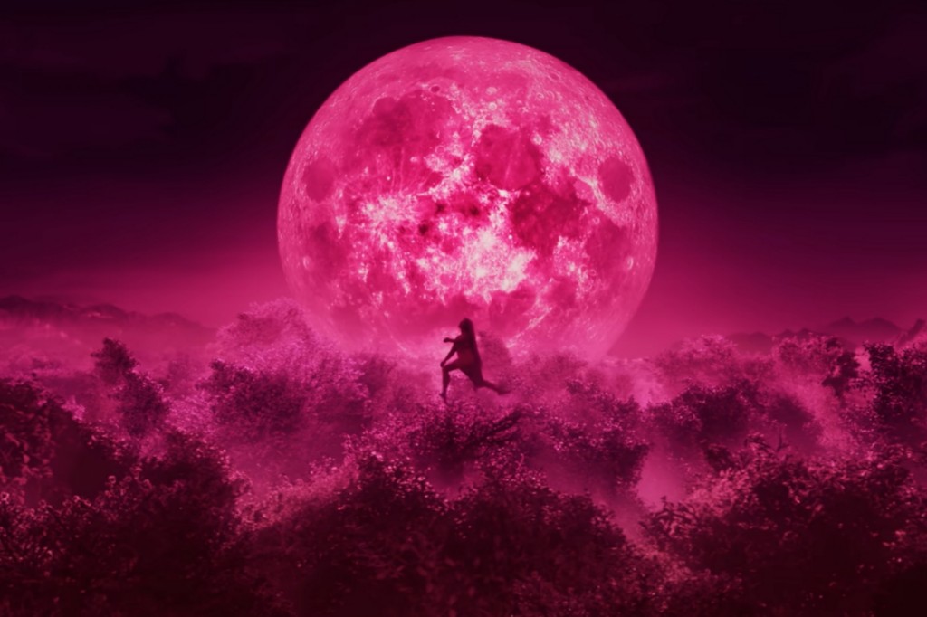 snapshot taken from trailer 