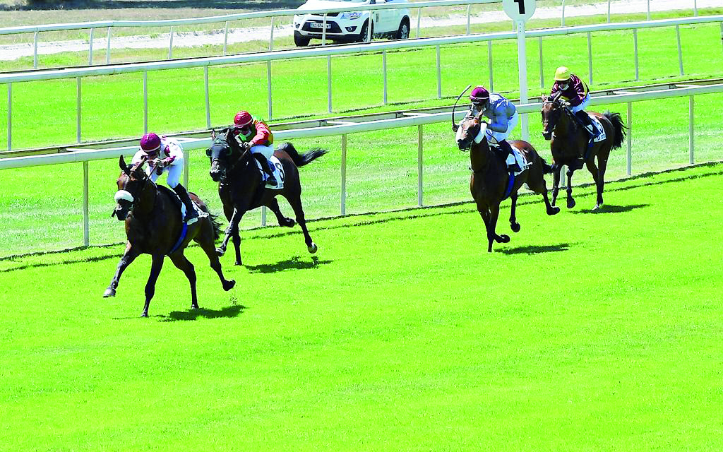 Sheail bin Khalifa Al Kuwari's Hadi de carrere, ridden by J Augé, reaching the finish line to win the Prix Tidjani, Group 3 for three-year-old Purebred Arabians at La Teste de Buch in France, yesterday. PIC: Robert Polin 