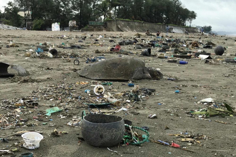 A dead sea turtle is seen on a beach in Cox's Bazar on July 12, 2020. Bangladesh green activists said on July 12 hundreds of sea turtles have floated ashore and at least 20 were killed as tonnes of plastic wastes invaded the world's largest unbroken beach