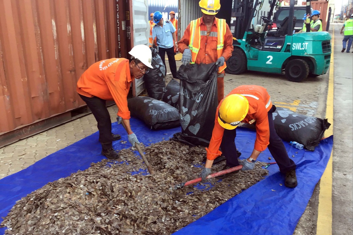 (FILES) In this file photo taken and released by Vietnam News Agency on May 23, 2019, officials sort seized pangolin scales at a port in southern Vietnam's Ba Ria Vung Tau province. . / AFP / Vietnam News Agency / -
