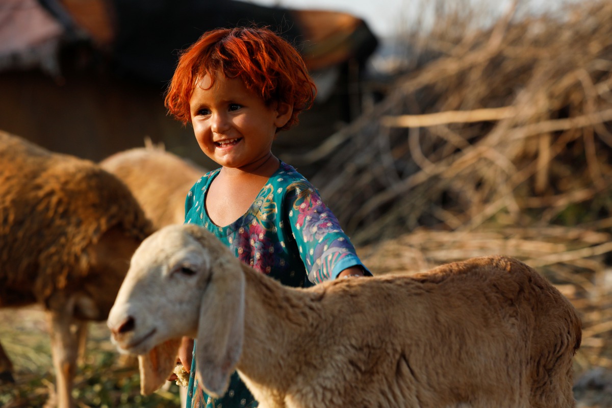 A girl reacts while she stands with sheep outside of her family tent along a cattle market, ahead of the Eid al-Adha festival, as the outbreak of the coronavirus disease (COVID-19) continues, in Peshawar, Pakistan July 23, 2020. REUTERS/Fayaz Aziz
