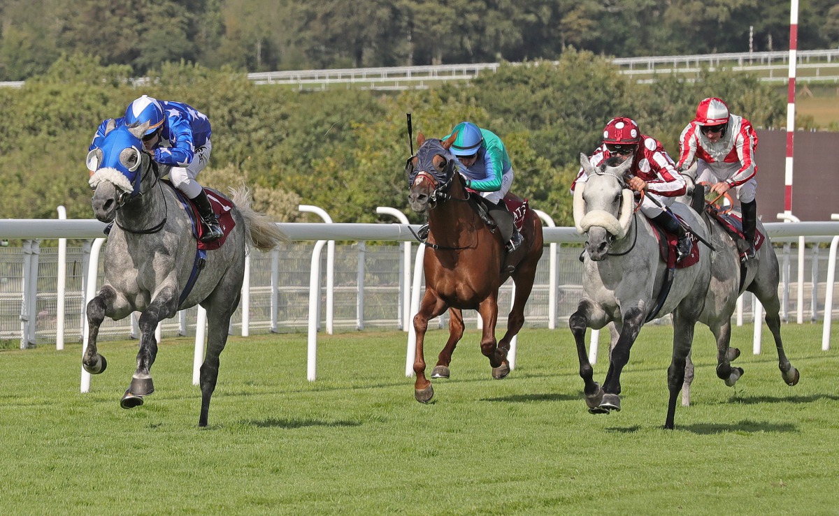 Ebraz (left) and Tayf in action during last year's Qatar International Stakes in this file photo.