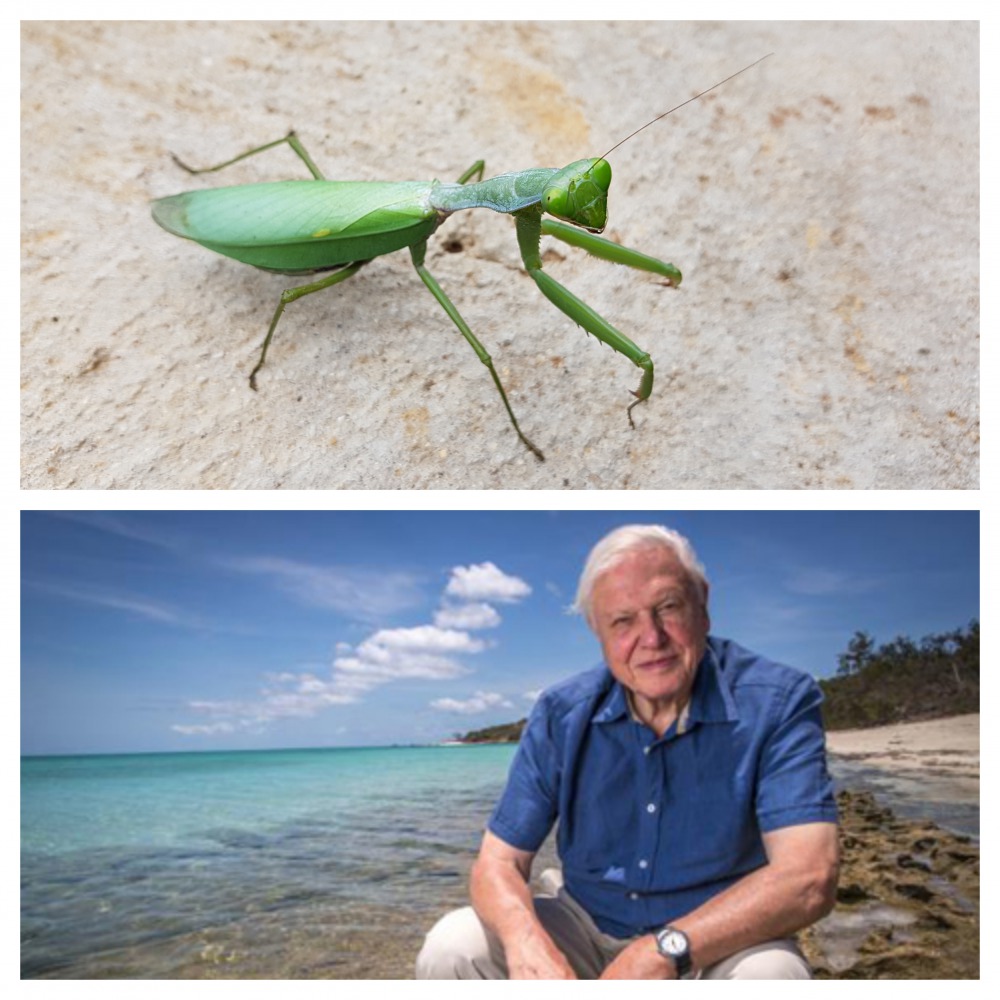 Twitter / RBINSmuseum