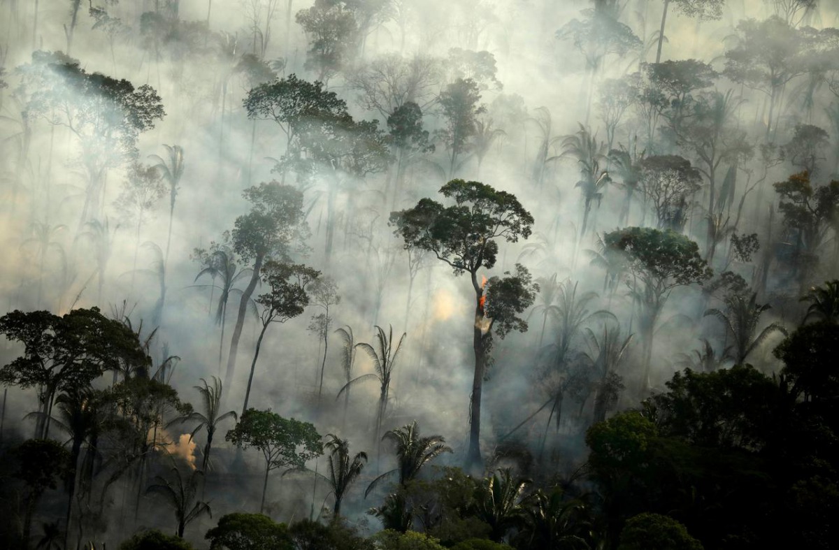 FILE PHOTO: Amazon Forest / REUTERS