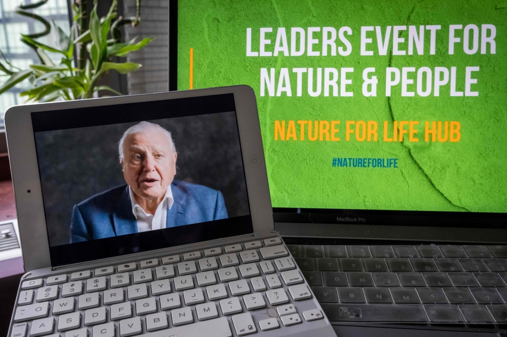 This UN handout photo shows David Attenborough, British broadcaster and naturalist, as he addresses the virtual event, entitled “Leaders' Pledge for Nature: United to Reverse Biodiversity Loss by 2030 for Sustainable Development” on September 28, 2020, in