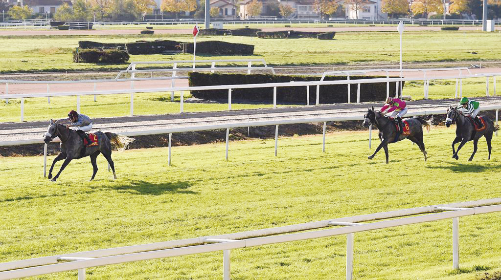 Al Shaqab Racing's Jalela leads the race yesterday.