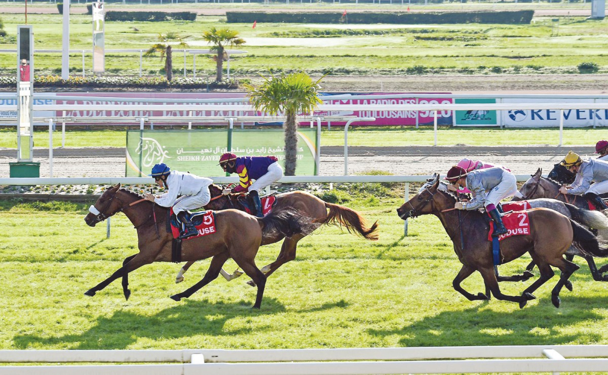 Riders in action during the Prix Cheri Bibi.