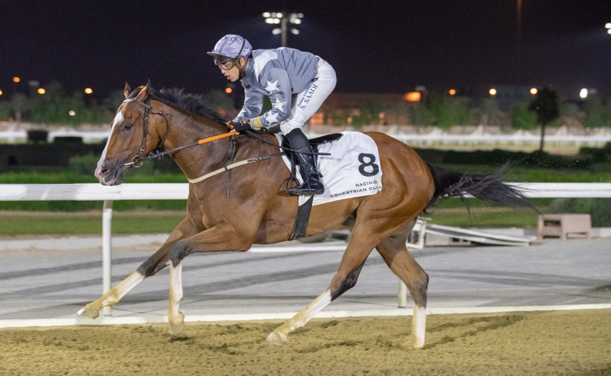X Force, winner of Umm Al Houl Cup.