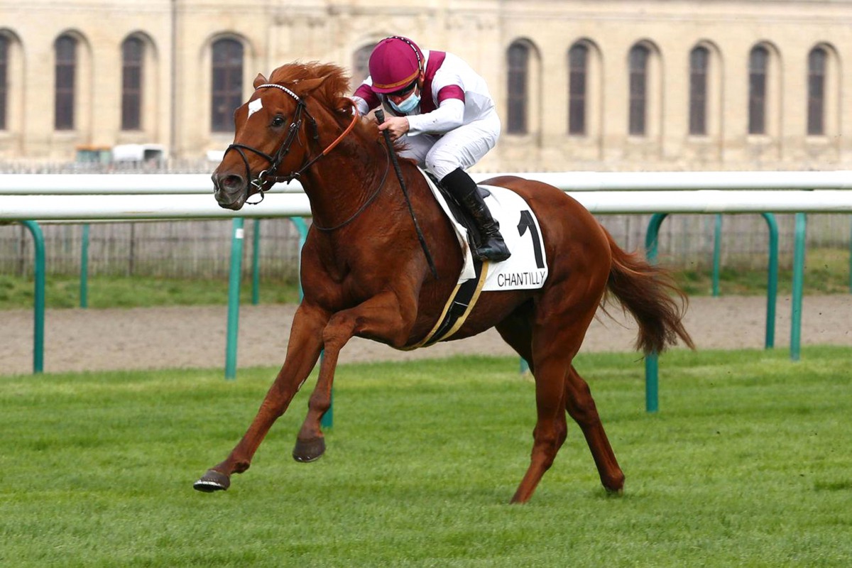 Grégory Benoist guiding Hayzum to Grand Prix du Nord win at Chantilly, yesterday.  