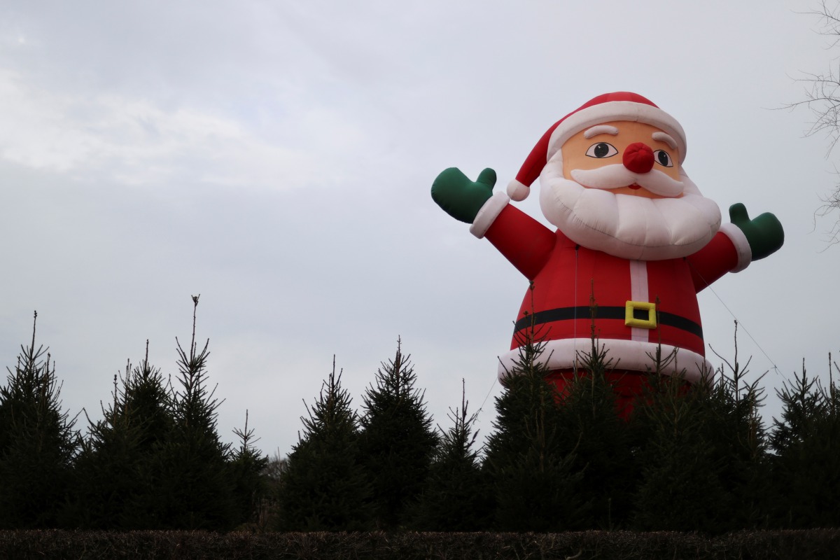 An inflatable Santa Claus doll is pictured at a christmas Tree Farm, amidst the outbreak of the coronavirus disease (COVID-19), in Keele, Staffordshire, Britain November 24, 2020. REUTERS/Carl Recine
