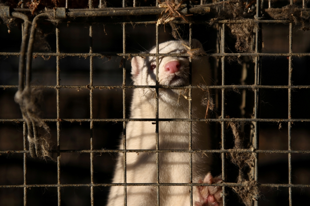 REUTERS/Alexandros Avramidis/File Photo