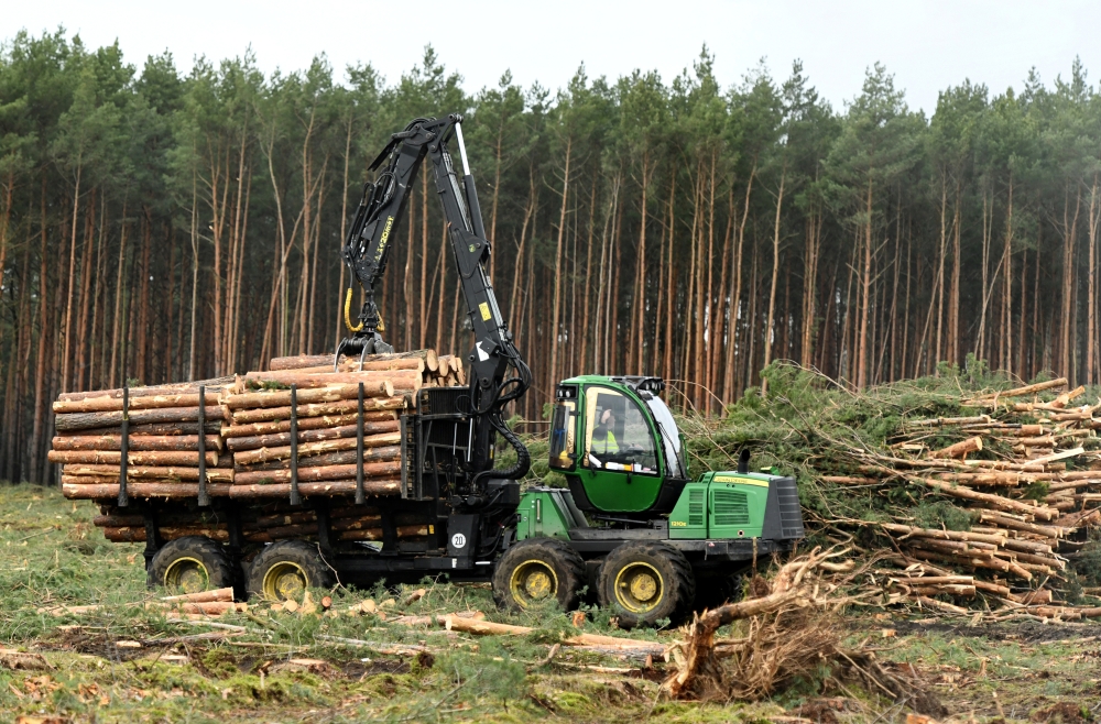 A worker clears trees at the area where U.S. electric vehicle pioneer Tesla plans to build a Tesla Gigafactory in Gruenheide near Berlin, Germany February 21, 2020. Reuters/Annegret Hilse/File Photo