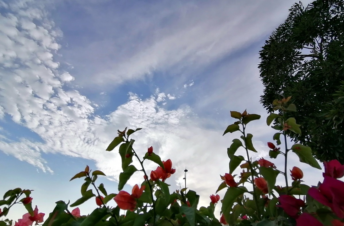 Photo credit: Salim Matramkot/ The Peninsula