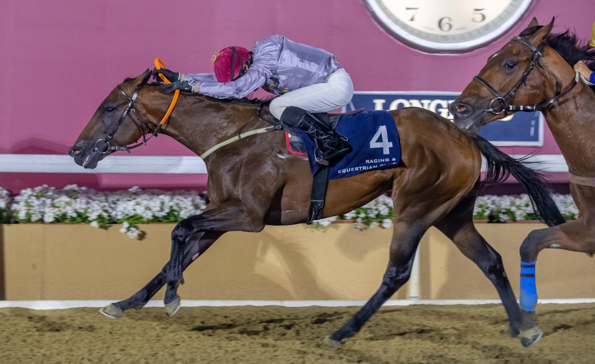 Ronan Thomas guiding Lauded towards victory in the Marmi Cup.