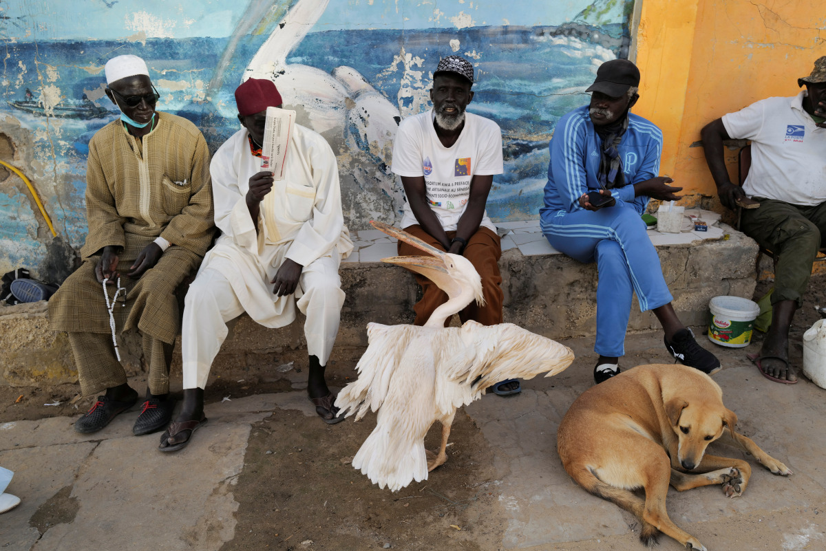 Men sit near a pelican as the spread of the coronavirus disease (COVID-19) continues, in Ouakam neighbourhood, Dakar, senegal January 22, 2021. REUTERS/Zohra Bensemra
