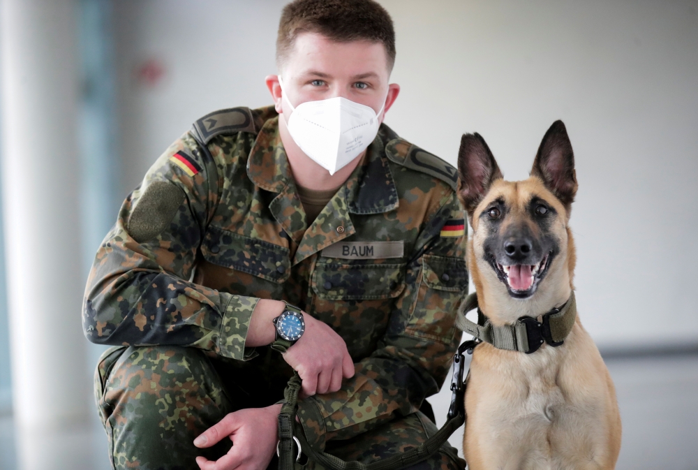 A member of a military poses with Filou, the 3-year-old Belgian shepherd which is able to detect COVID-19 in humans' saliva samples, in Hanover, Germany, February 3, 2021. REUTERS/Hannibal Hanschke