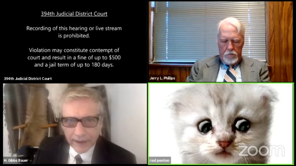 Lawyer Rod Ponton appears with a kitten filter turned on during a virtual hearing of the 394th District Court of Texas, U.S. February 9, 2021 in this still image taken from video. Judge Roy Ferguson via REUTERS 