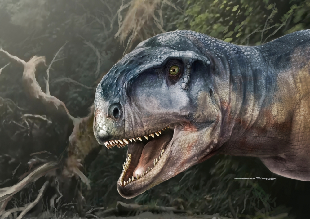 An artist's impression of the Cretaceous Period meat-eating dinosaur Llukalkan aliocranianus that lived about 80 million years ago in the Patagonia region of Argentina is seen in this handout photo obtained by Reuters on March 30, 2021. Jorge Blanco/Journ